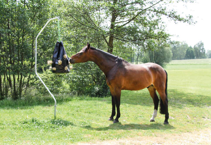 Bodenhalterung für Taon X und HayBag